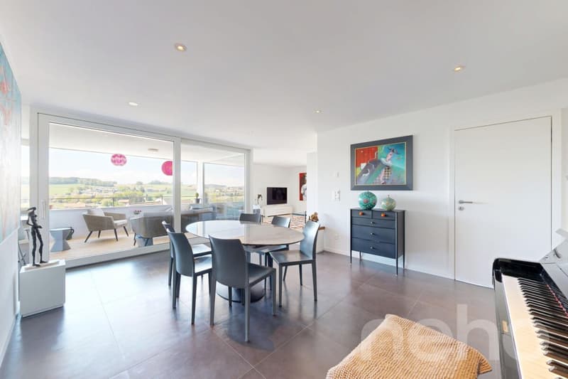 Duplex en attique lumineux avec vue dégagée à deux pas de la gare (7)