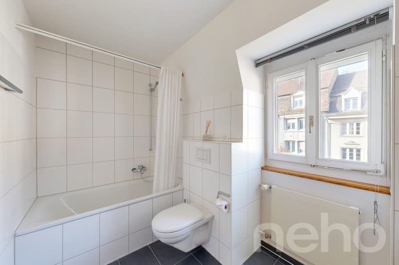 Saniertes Altstadthaus an privilegierter Lage (Wettsteinquartier) (12)