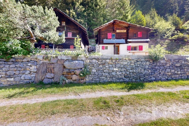 Mayen rénové le long d'un chemin privé Savièse/Sanetsch facile d'accès (10)