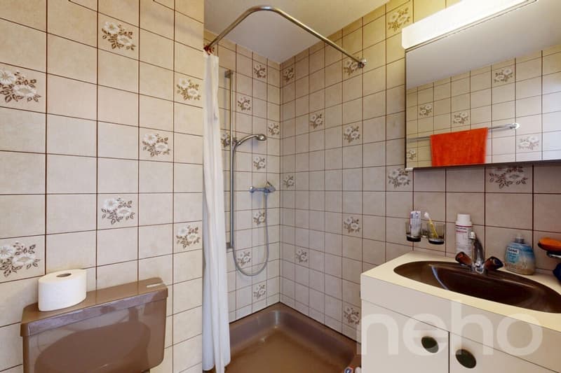 Charmantes Reihenmittelhaus mit sonnigem Garten in Unterengstringen (9)