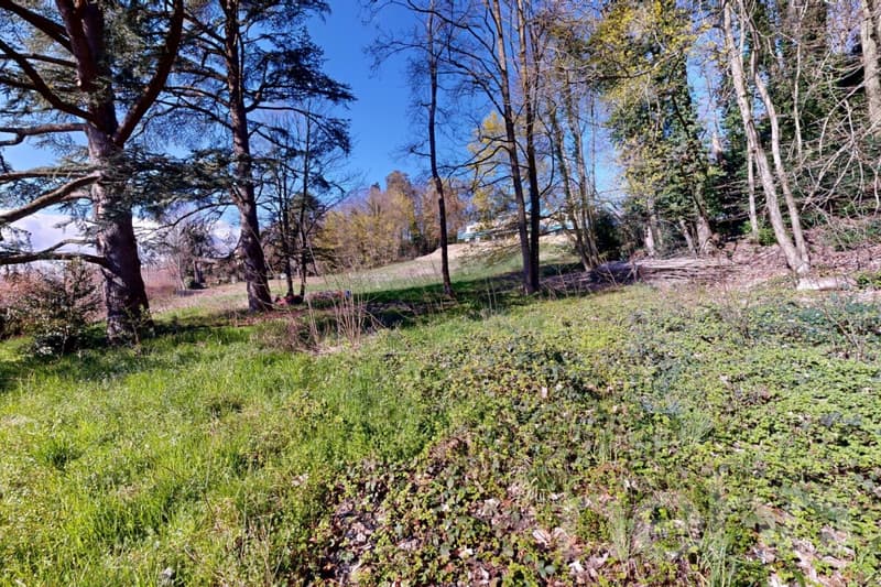 PARCELLE UNIQUE EN LISIÈRE DE FORÊT AUX PORTES DE LAUSANNE (10)