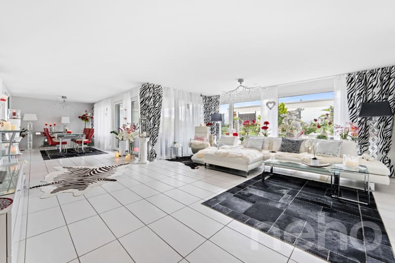 Grosszügige 4.5 Zimmer-Terrassenwohnung mit zusätzlichem Disporaum (2)