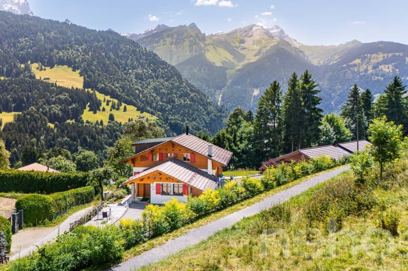 La Bonne Étoile  ? Chalet incluant 3 parcelles constructibles (12)