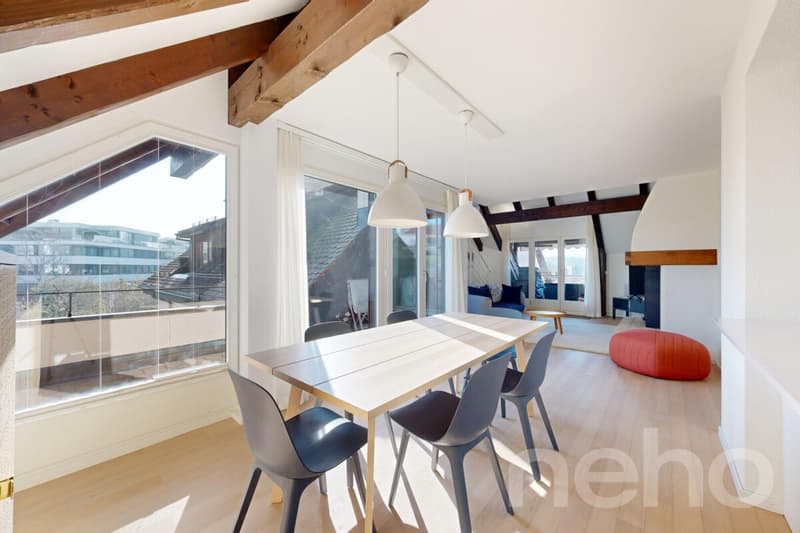 Lichtdurchflutete Dachmaisonette in ruhiger Lage von Zürich-Witikon (3)