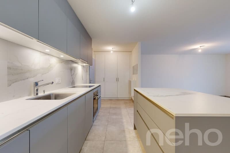 Orbe magnifique appartement avec jardin (8)
