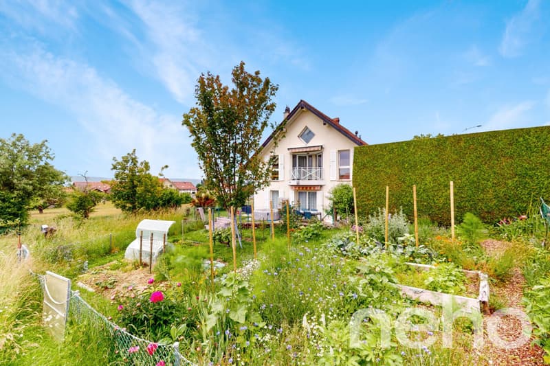 Grand appartement de 3,5 pièces au calme absolu à Villars-Tiercelin (3)