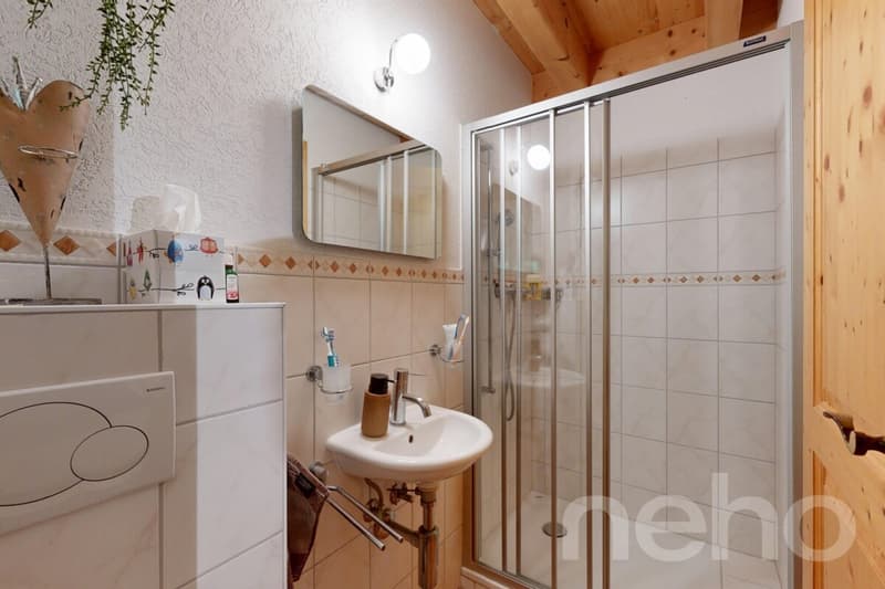 Magnifique chalet dans le hameau de Veyges (10)