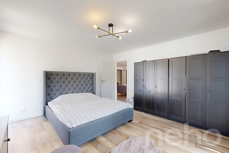 Grand 5,5p de 200 m² + Terrasses ? Idéal Investisseurs ou Bi-familial (11)