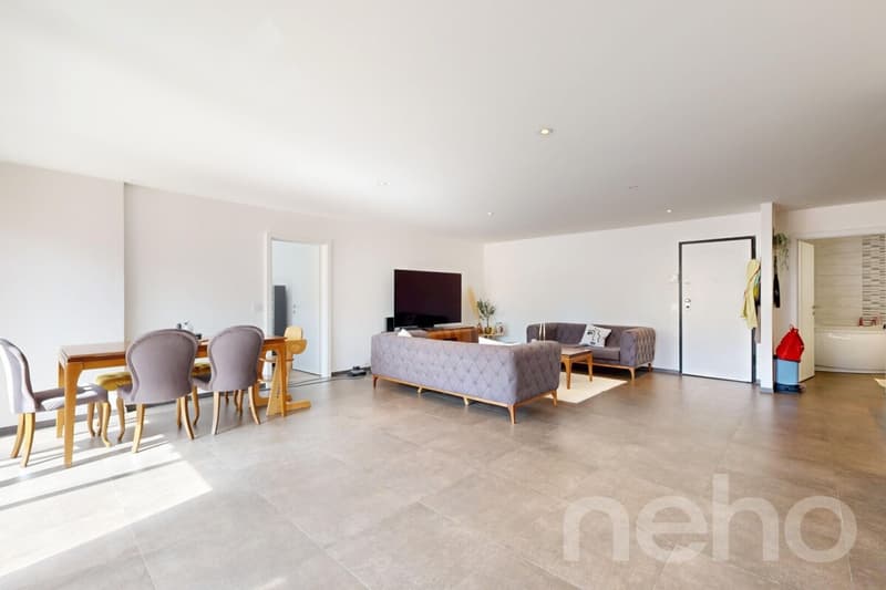 Grand 5,5p de 200 m² + Terrasses ? Idéal Investisseurs ou Bi-familial (3)
