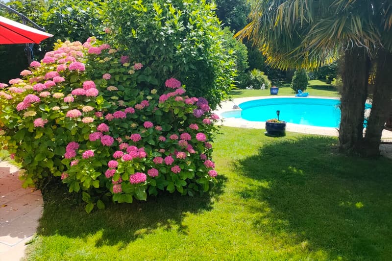 Maison familiale avec piscine et grand jardin plein sud (3)