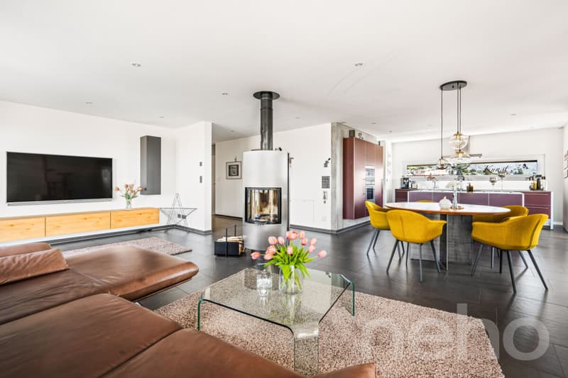 Exklusive Attika mit Wintergarten und 120 m² Terrasse (2)