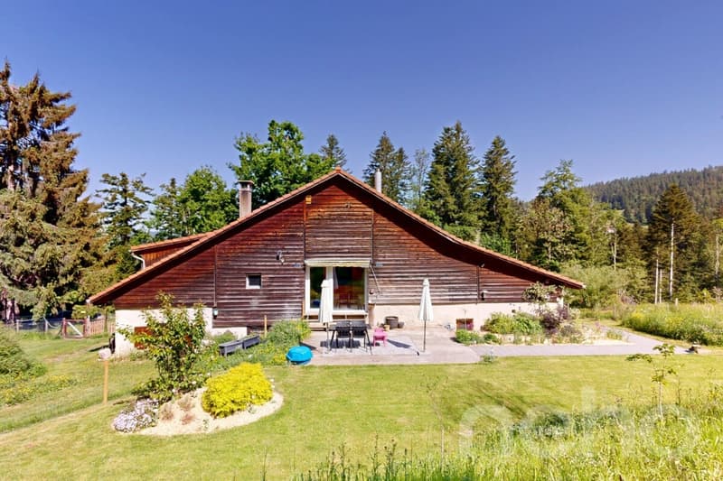 Ferme 1640 rénovée : 2 appts + immense grange à fort potentiel (1)