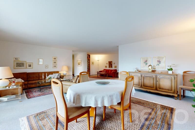 Grosszügige und helle Wohnung an top Lage (3)