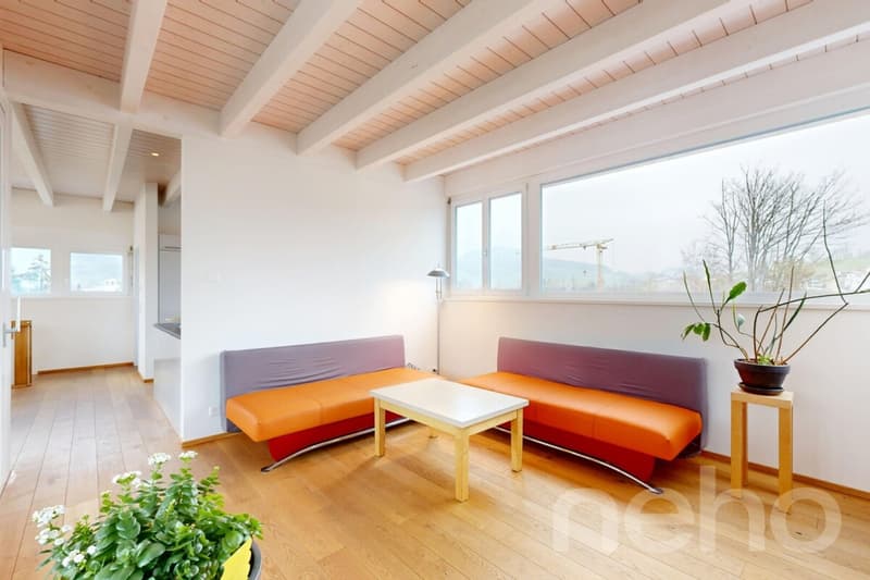 Einfamilienhaus mit Werkhalle, PV-Anlage und viel Gewerbepotenzial (10)