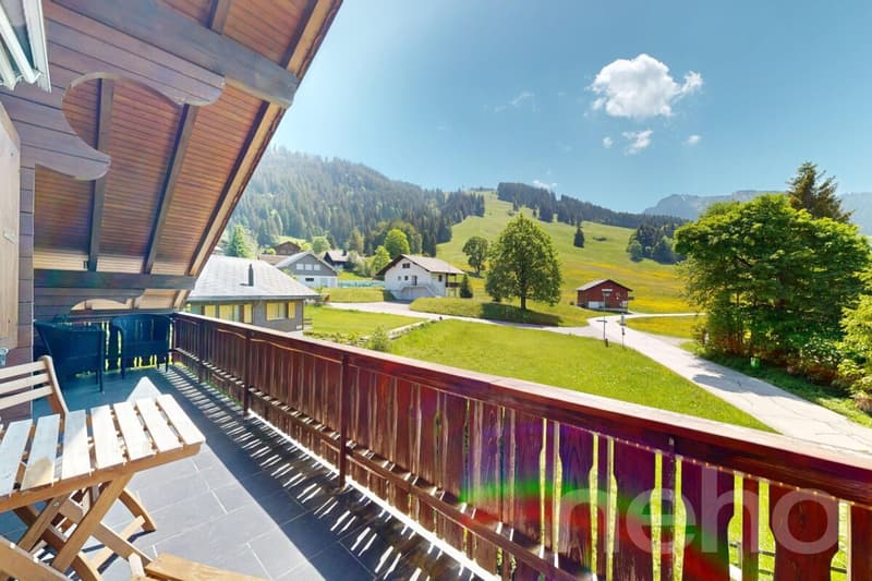Grosse 2.5-Zimmer-Maisonette-Dachwohnung in Wirzweli (3)