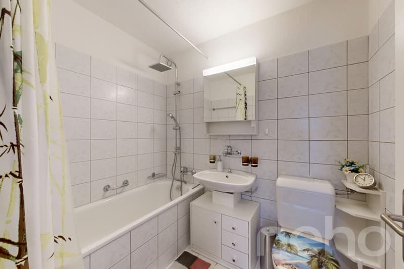 Praktische Wohnung an zentraler Wohnlage in Horgen (9)