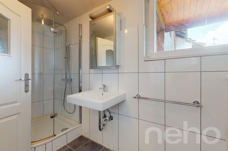 Zweifamilienhaus im Grünen mit 400 m² gewerblich nutzbarem Schuppen (10)