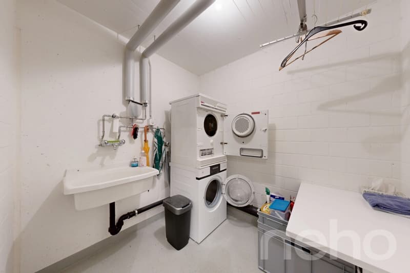 Lichtdurchflutete 4.5 Zimmer Dachwohnung mit Blick ins Grüne (11)