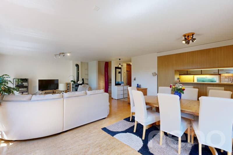 A charming family home with a garden in the heart of Épalinges (4)