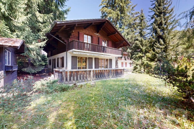 Charmant chalet montagnard à Gryon avec vue dégagée (1)