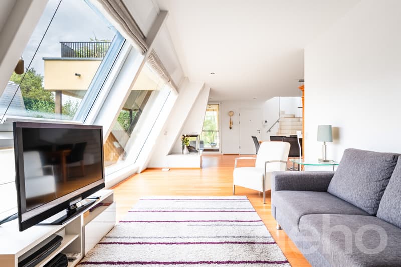 Einzigartige Attika-Maisonette mit Einliegerwohnung und Dachterrasse (2)