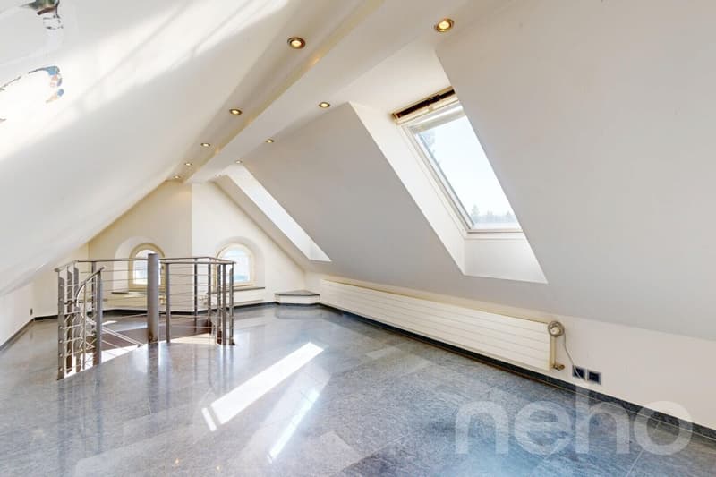 Charmante Dachwohnung mit Galerie und Weitsicht ins Grüne (11)