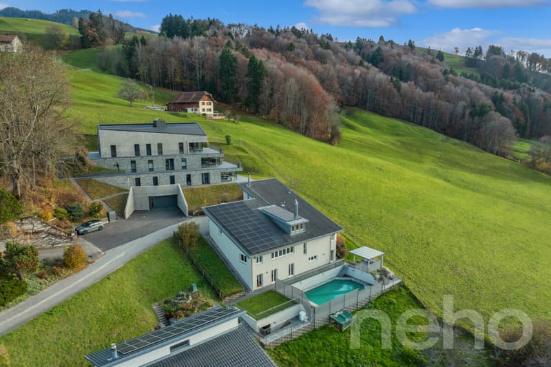 Le luxe discret à La Roche: Villa d?Exception avec Vue Panoramique (12)