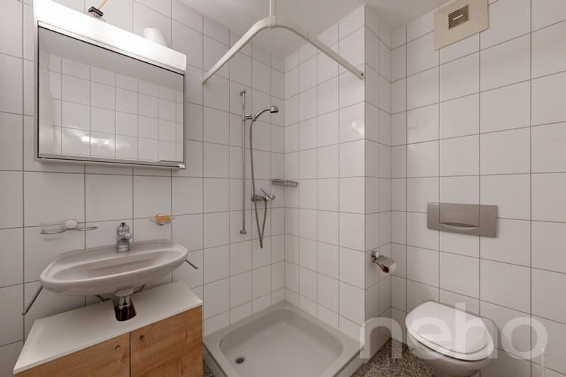 Grosszügige 3.5-Zimmer-Wohnung mit sonniger Terrasse (5)