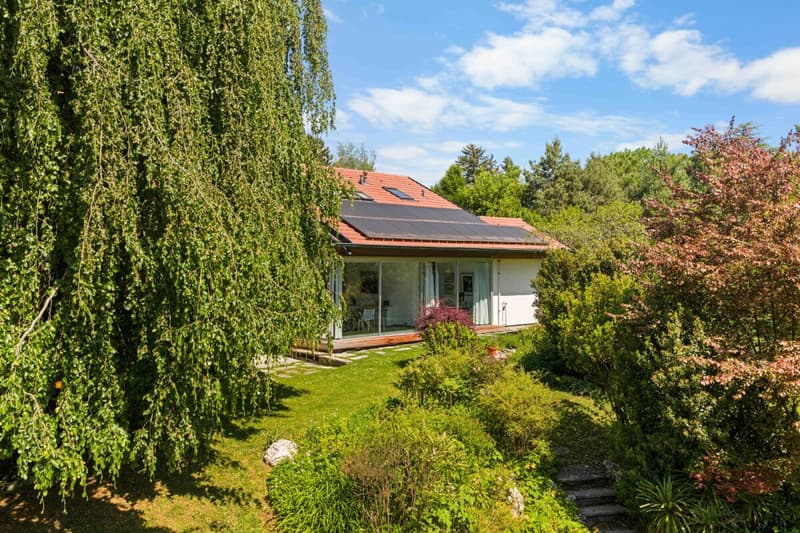 Maison entouré d'arbres majestueux (1)