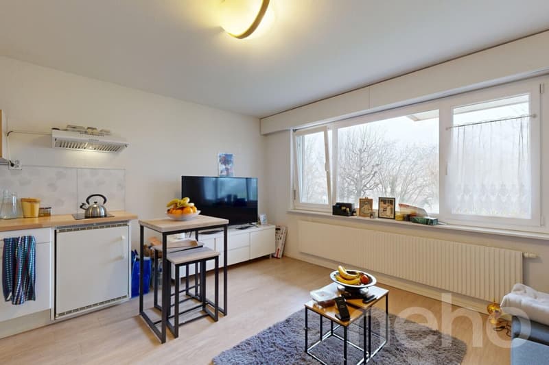 Deux logements en un : confort familial et rendement locatif (11)