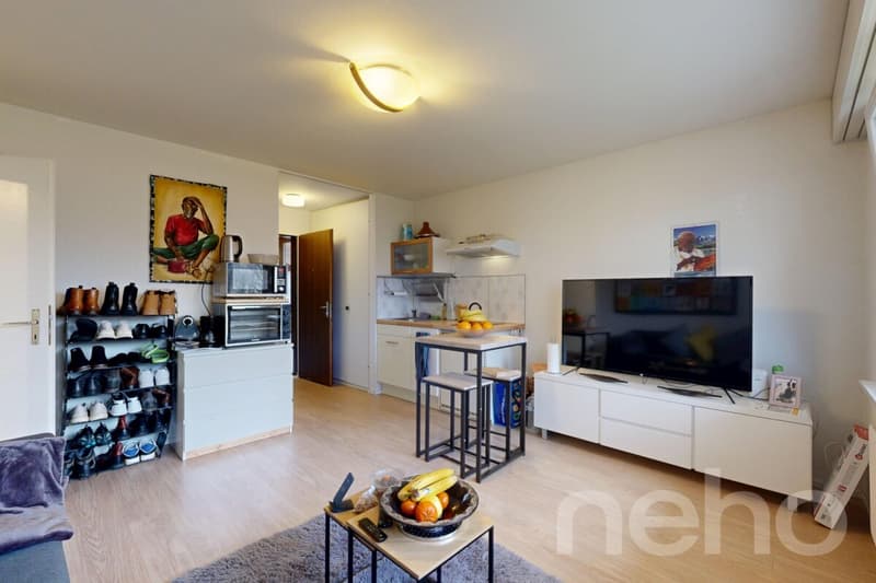 Deux logements en un : confort familial et rendement locatif (10)