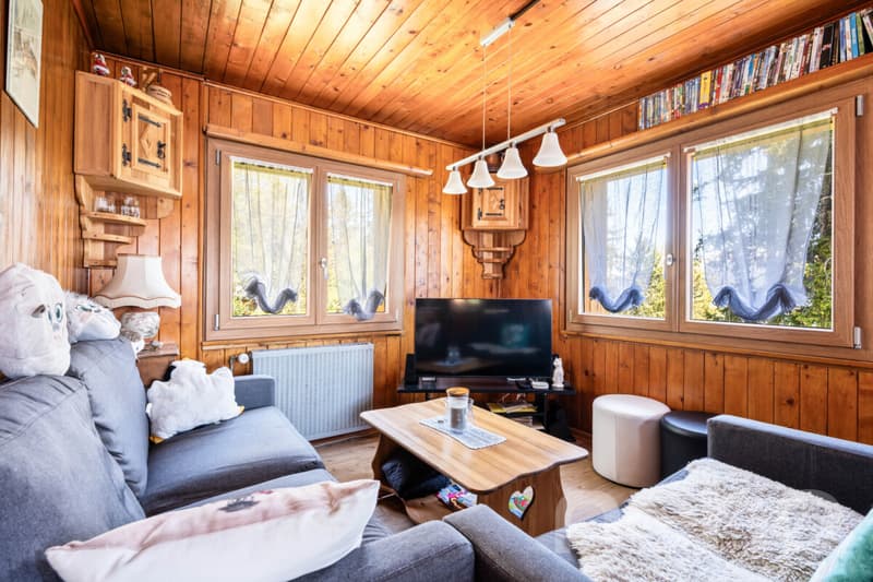 Chalet lumineux avec espace bien-être et accès direct aux pistes (7)