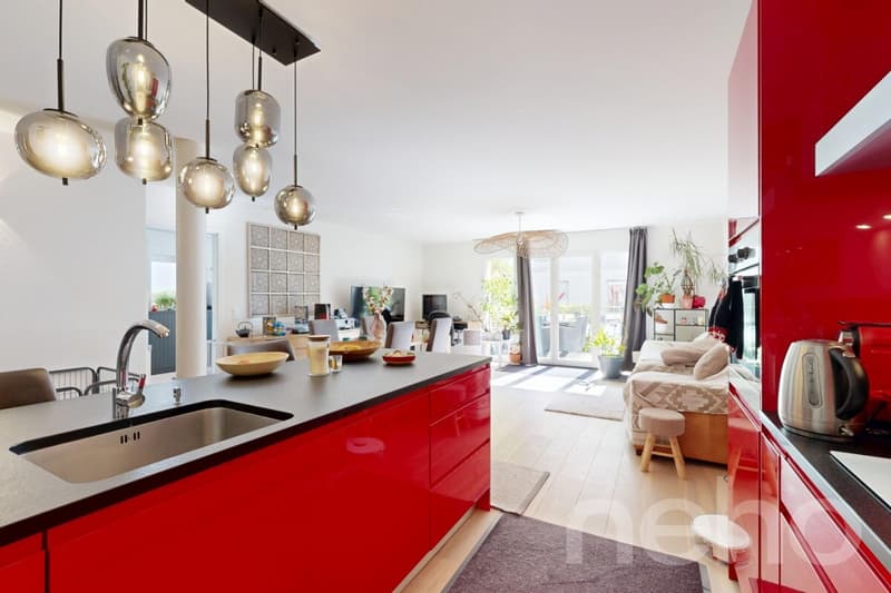 Appartement familial lumineux avec terrasse au coeur d'Epalinges (7)
