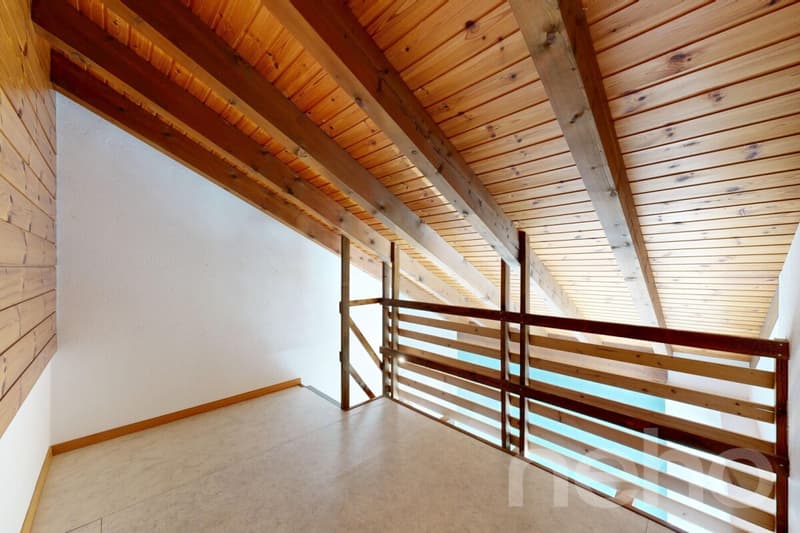Maison spacieuse 8.5 + appartement 2.5 indépendant avec vue dégagé (10)
