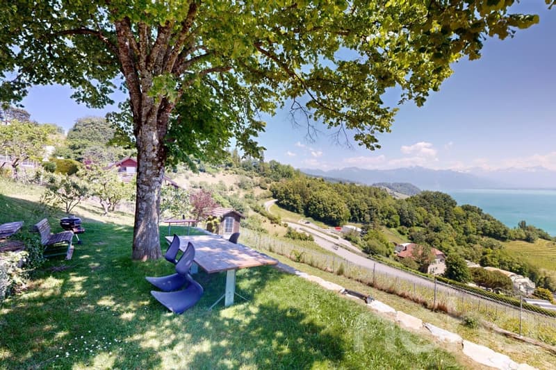 L'élégance d'un chalet entre lac, vignes et montagnes (10)
