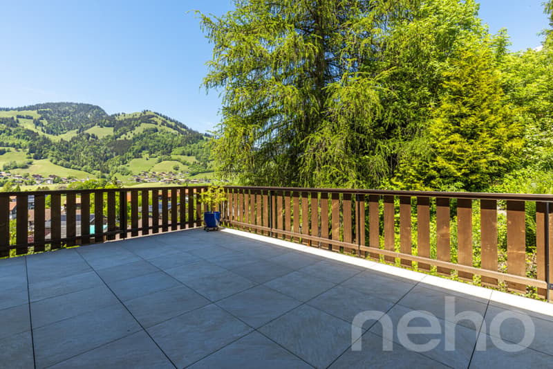 Maison avec appartement indépendant ? Vue montagnes à Charmey (10)