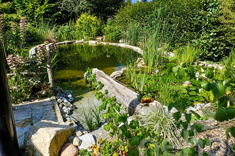 Entre parc naturel et vie urbaine : un havre d'exception à Lausanne (4)
