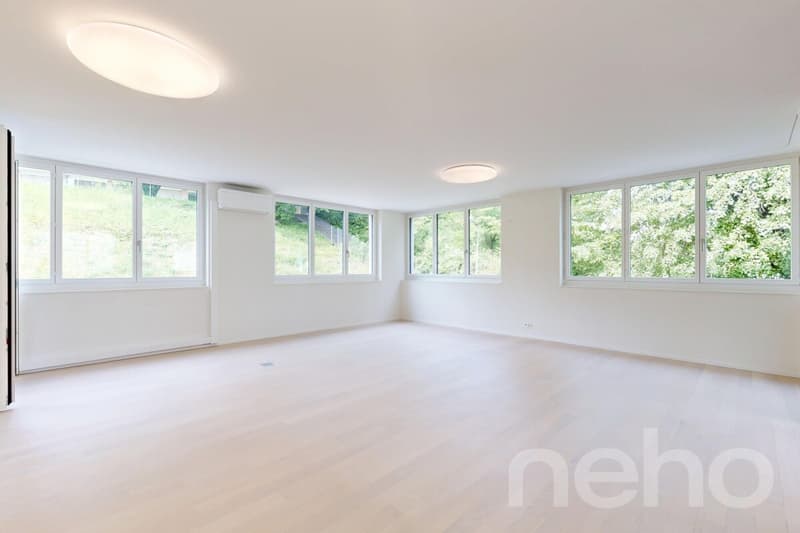 Zentral wohnen mit Stil: 4.5-Zimmer-Wohnung mit zwei Terrassen (4)
