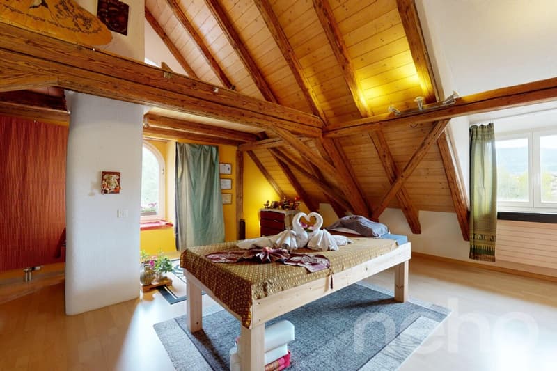 Historisches 4-Familienhaus an der Surb mit Garten & Cheminéehaus (3)