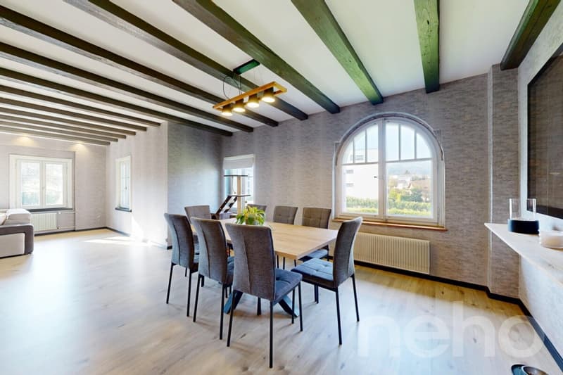 Magnifique maison individuelle rénovée (5)