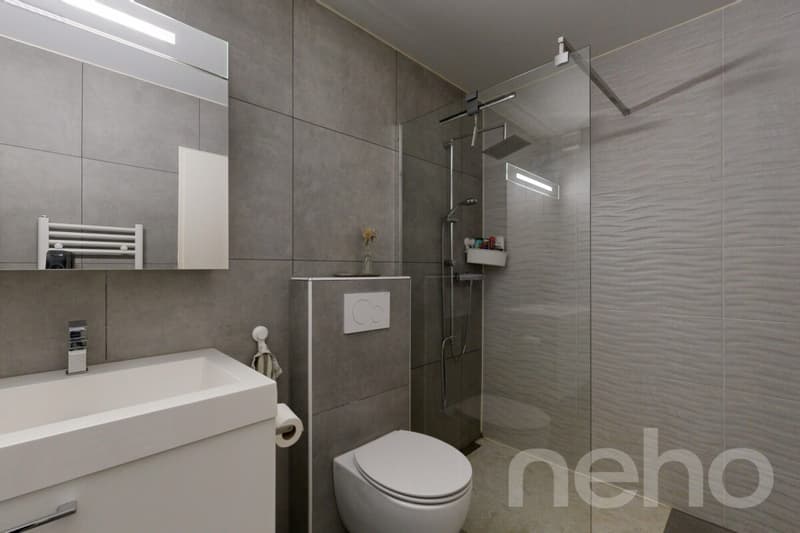 Top renovierte Wohnung in Familienquartier (8)