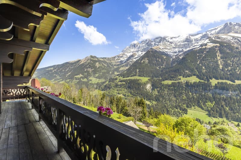 Exclusif: Grand chalet avec 2 garages sur un terrain de 3255 m2 (8)