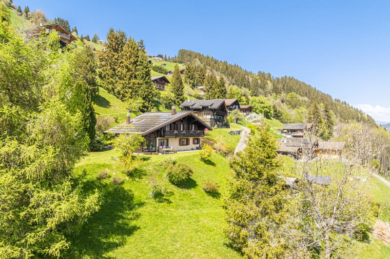 Exclusif: Grand chalet avec 2 garages sur un terrain de 3255 m2 (1)