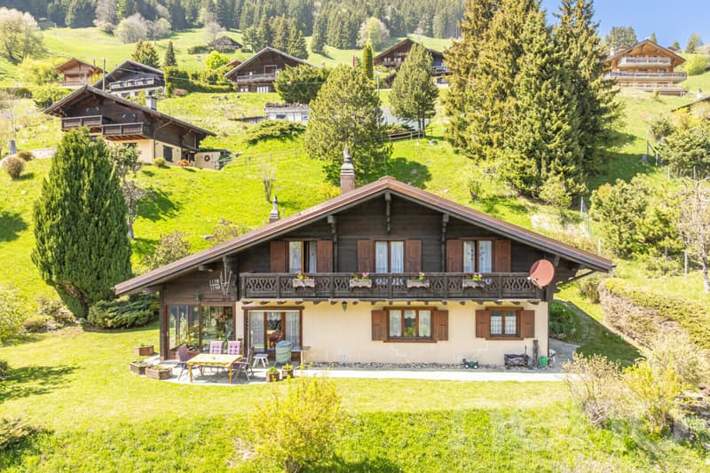 Exclusif: Grand chalet avec 2 garages sur un terrain de 3255 m2 (5)