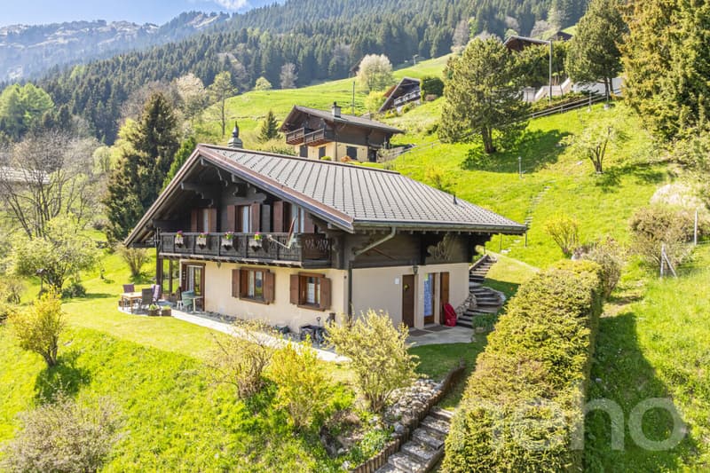 Exclusif: Grand chalet avec 2 garages sur un terrain de 3255 m2 (3)
