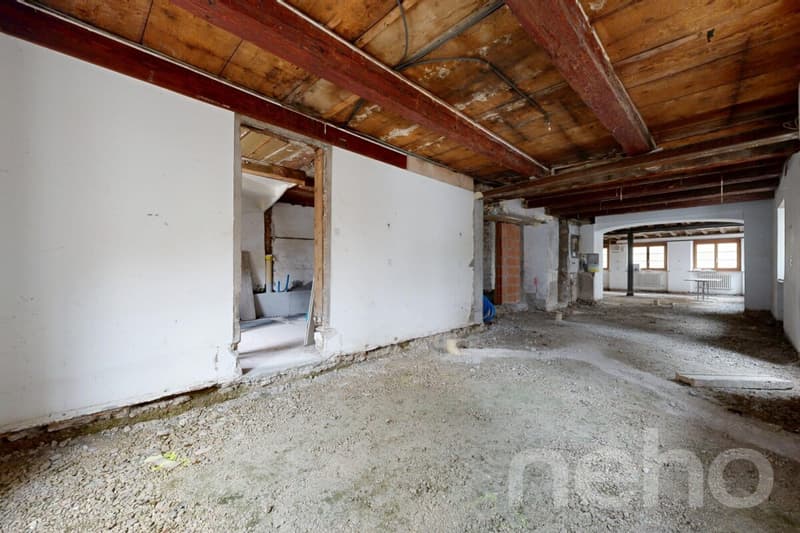 Immeuble d?investissement - Possibilité de créer 5 lots pour 360m2 net (2)