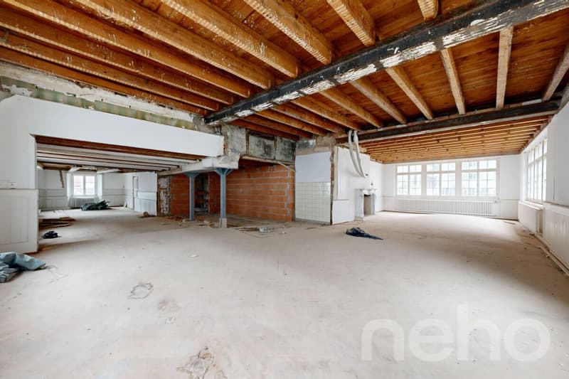 Immeuble d?investissement - Possibilité de créer 5 lots pour 360m2 net (10)
