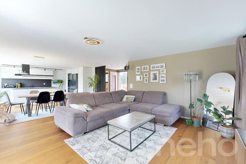Modernisiertes Einfamilienhaus mit Designküche und Wintergarten (8)