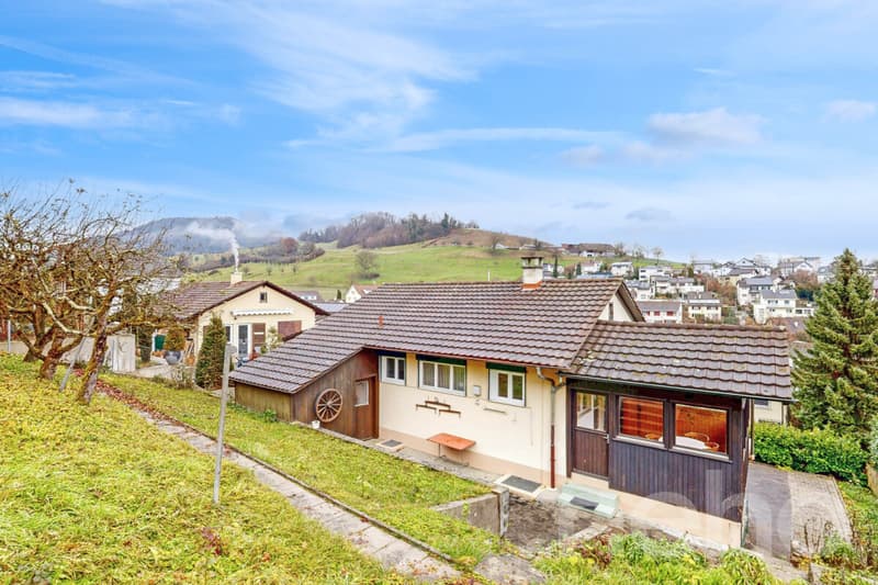 Einfamilienhaus mit Garten und viel Potenzial in Gelterkinden (3)