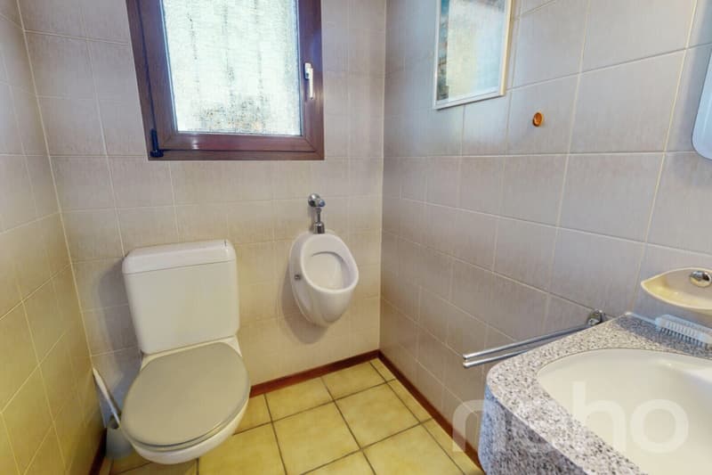 Grosszügiges Zuhause mit Werkstatt/Atelier und sonnigem Garten (9)